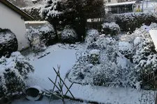 Dezember   0522.webp