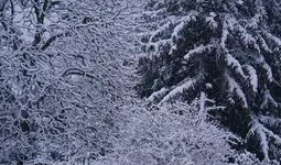 2022dez02.webp 2022dez02.webp