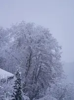 2022dez03.webp 2022dez03.webp