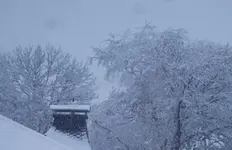 2022dez04.webp 2022dez04.webp