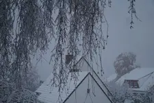 2022dez05.webp 2022dez05.webp