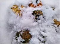 IMG_20210117_105415_1.webp IMG_20210117_105415_1.webp