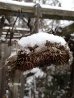 IMG_20221214_125652.webp IMG_20221214_125652.webp