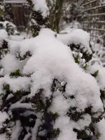 IMG_20221214_125618.webp IMG_20221214_125618.webp