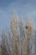 P1090586.webp P1090586.webp