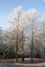 P1090590.webp P1090590.webp