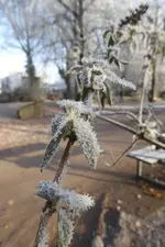 P1090591.webp P1090591.webp