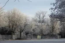 P1090597.webp P1090597.webp