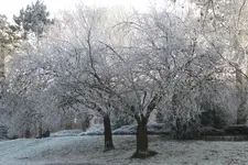 P1090598.webp P1090598.webp