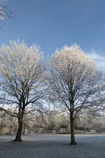 P1090599.webp P1090599.webp