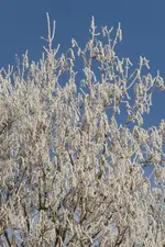 P1090600.webp P1090600.webp