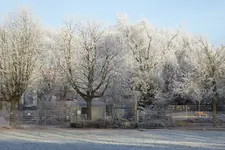 P1090602.webp P1090602.webp