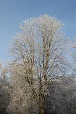 P1090605.webp P1090605.webp