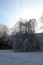 P1090606.webp P1090606.webp