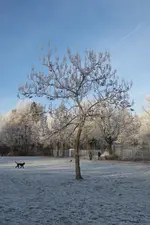 P1090607.webp P1090607.webp