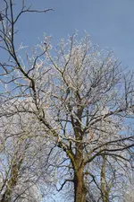 P1090609.webp P1090609.webp