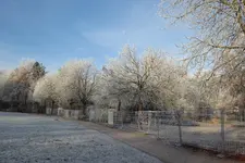 P1090610.webp P1090610.webp