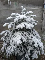 PXL_20221218_114628325.webp PXL_20221218_114628325.webp