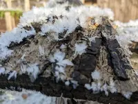 PXL_20221218_114356855.MP.webp PXL_20221218_114356855.MP.webp