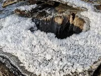 PXL_20221218_114436708.webp PXL_20221218_114436708.webp