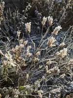 PXL_20221218_115107690.webp PXL_20221218_115107690.webp