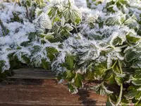 PXL_20221218_115214868.webp PXL_20221218_115214868.webp