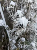 PXL_20221218_114940427.webp PXL_20221218_114940427.webp