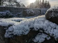 PXL_20221218_114208807.webp PXL_20221218_114208807.webp