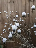 PXL_20221218_114149666.webp PXL_20221218_114149666.webp