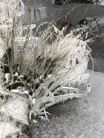 FA621688-D4D4-453D-A482-9F92F3244004.webp FA621688-D4D4-453D-A482-9F92F3244004.webp