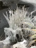 53F69CEE-7C55-4932-B4AE-1F5B61991FBB.webp 53F69CEE-7C55-4932-B4AE-1F5B61991FBB.webp