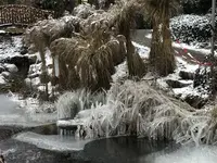 BE455143-BE88-4C6A-A1D4-883CD227072B.webp BE455143-BE88-4C6A-A1D4-883CD227072B.webp