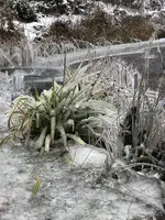 3AB07661-32A9-419B-82DB-FD2367094E35.webp 3AB07661-32A9-419B-82DB-FD2367094E35.webp