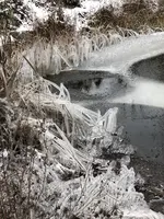 9C6668DA-73F4-4D82-B797-4C6D7E291068.webp 9C6668DA-73F4-4D82-B797-4C6D7E291068.webp