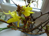 DSC02755.JPG