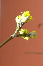 P1380361.webp