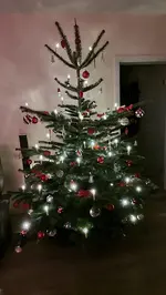 20221222_172520.webp