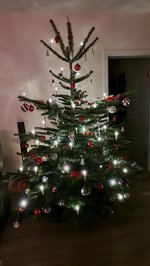 20221222_172520.jpg