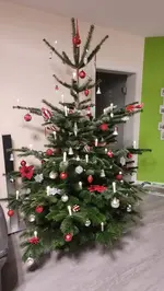 20221222_172241.webp