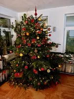 07DF13C1-C2B8-4041-8252-0C0DA3FC15C2_1_201_a.webp