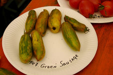 Irinas Tomatenfest0307.jpg