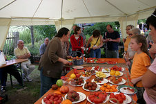 Irinas Tomatenfest0407.jpg