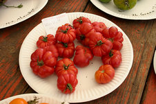 Irinas Tomatenfest0807.jpg