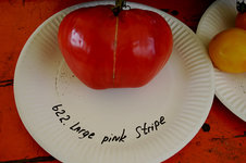 Irinas Tomatenfest0907.jpg