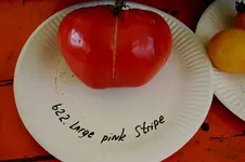 Irinas Tomatenfest0907.webp