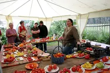 Irinas Tomatenfest1807.webp