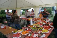 Irinas Tomatenfest2007.webp