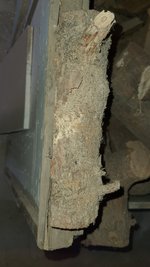 2022-12 Brennholz Befall 02.jpg