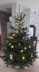 20221224_105223.webp