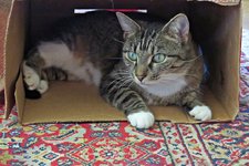 IMG_3460 v (2).JPG